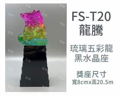 FS-T20龍騰