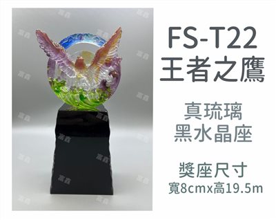 FS-T22王者之鷹