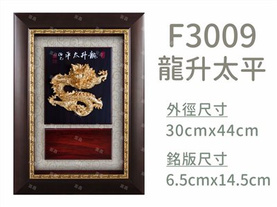 F3009龍升太平