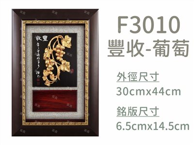 F3010豐收-葡萄