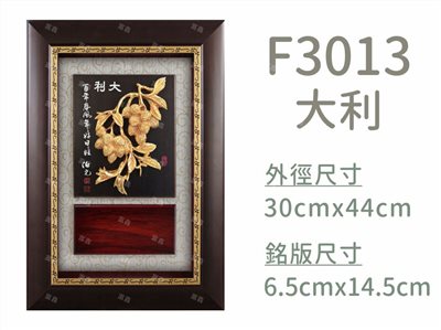 F3013大利
