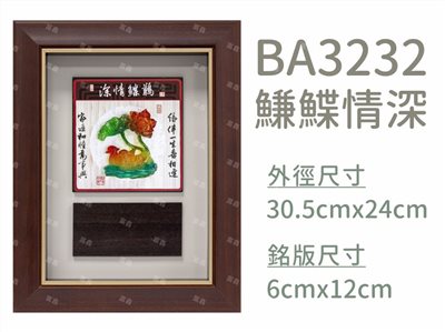 BA3232鰜鰈情深