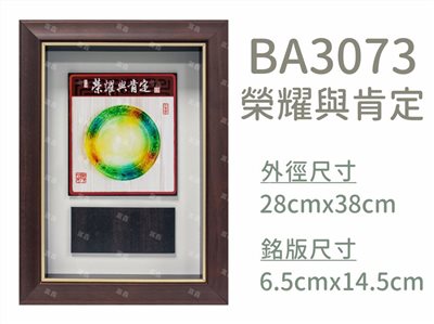 BA3073榮耀與肯定