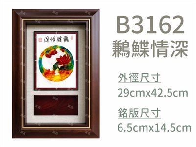 B3162鶼鰈情深