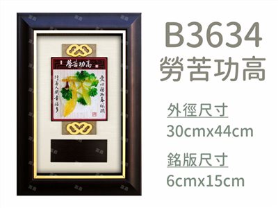 B3634勞苦功高