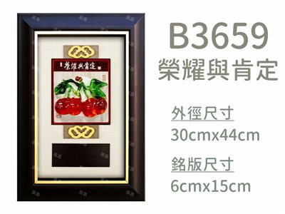 B3659榮耀與肯定
