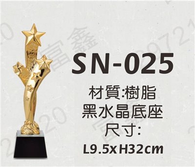 SN-025繁星熠熠黑水晶獎座